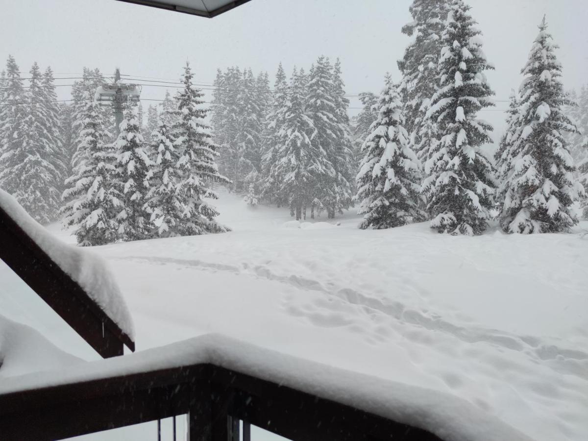 Douglas - Appartement Au Coeur Du Jardin Alpin Courchevel Buitenkant foto